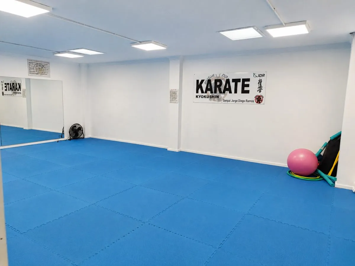 Tatami de karate en JDR Centro Deportivo, Lorca